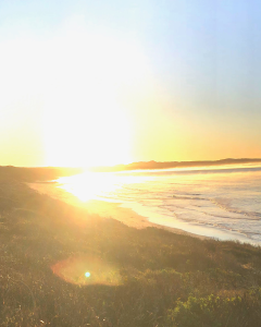 photo of the beach showing the land wrapping around the ocean. The sun setting behind the land