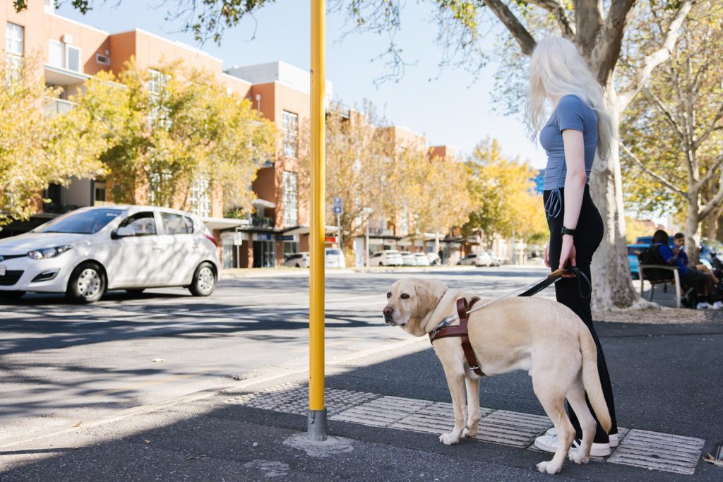 A woman with long white hair and an assistance dog are at a bus stop.